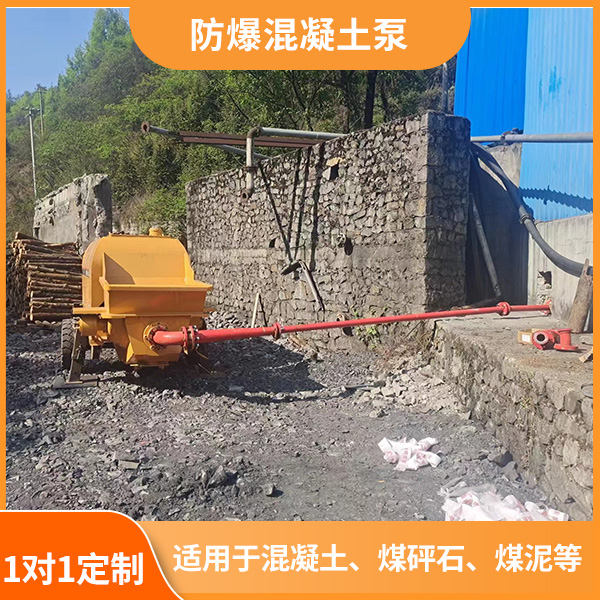 防爆输送泵.jpg