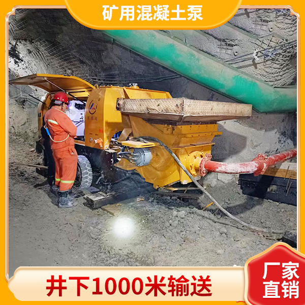 井下防爆混凝土泵.jpg
